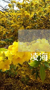 凌海市法院王欣 凌海市法院王欣