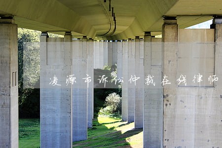 凌源市诉讼仲裁在线律师 凌源市诉讼仲裁在线律师