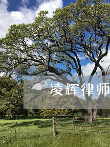 凌辉律师 凌辉律师