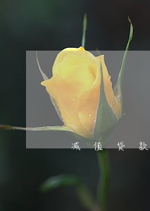 减值贷款逾期多少天 减值贷款逾期多少天