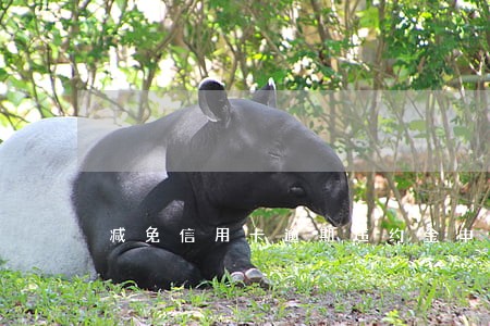 减免信用卡逾期违约金申请表 减免信用卡逾期违约金申请表