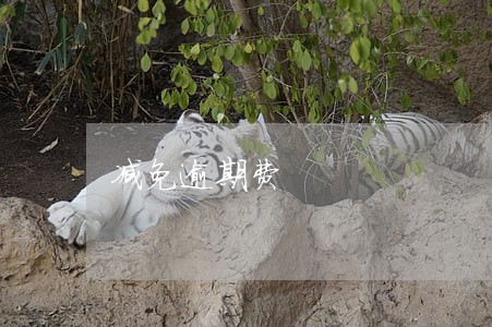 减免逾期费 减免逾期费