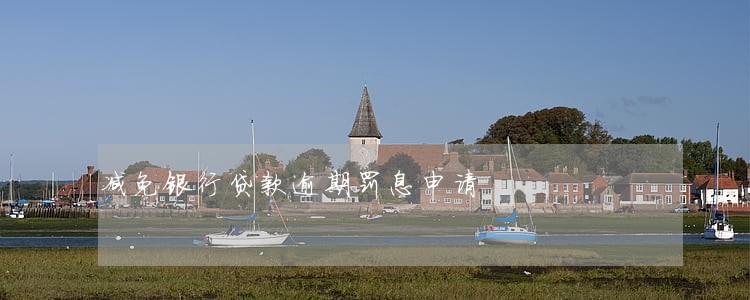 减免银行贷款逾期罚息申请 减免银行贷款逾期罚息申请