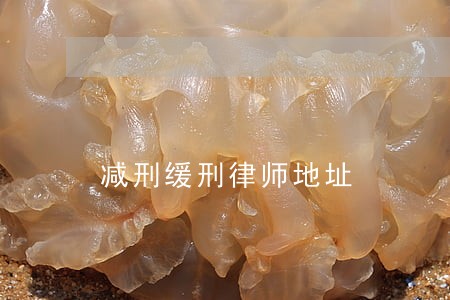 减刑缓刑律师地址 减刑缓刑律师地址