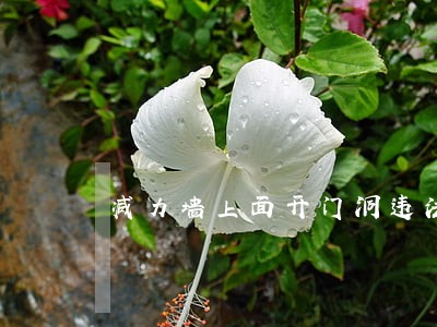 减力墙上面开门洞违法吗 减力墙上面开门洞违法吗