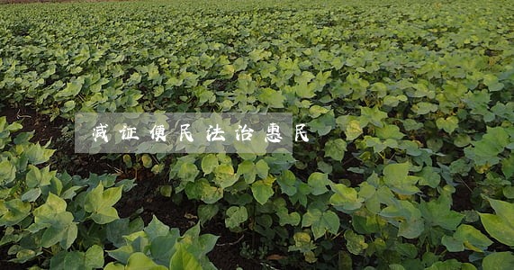 减证便民法治惠民 减证便民法治惠民