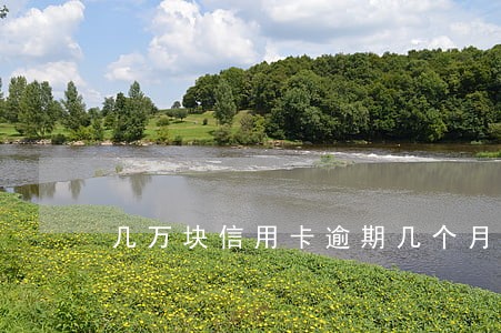 几万块信用卡逾期几个月 几万块信用卡逾期几个月