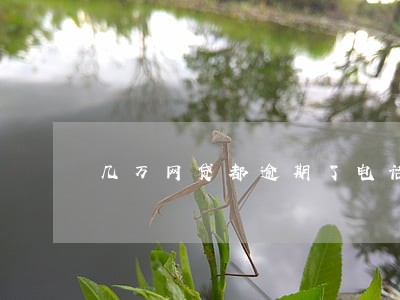 几万网贷都逾期了电话几十个 几万网贷都逾期了电话几十个