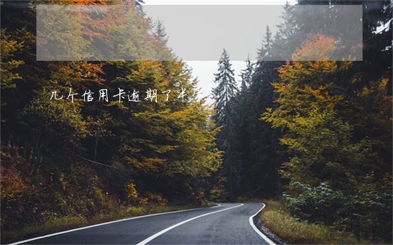 几个信用卡逾期了半年 几个信用卡逾期了半年