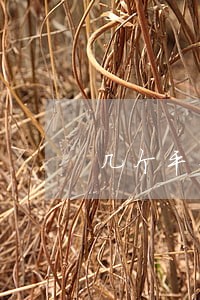 几个平台逾期10天了 几个平台逾期10天了