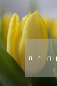几个月信用卡逾期