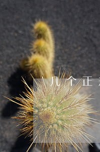 几个正规网贷都逾期 几个正规网贷都逾期