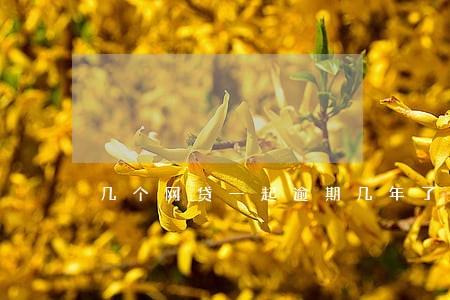 几个网贷一起逾期几年了 几个网贷一起逾期几年了