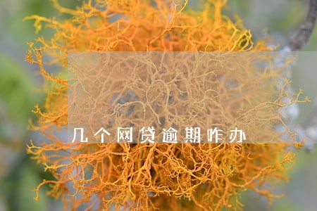 几个网贷逾期咋办