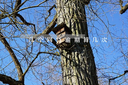 几个网贷逾期算几次