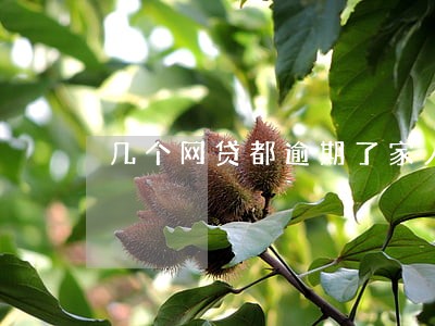 几个网贷都逾期了家人也没能力还 几个网贷都逾期了家人也没能力还