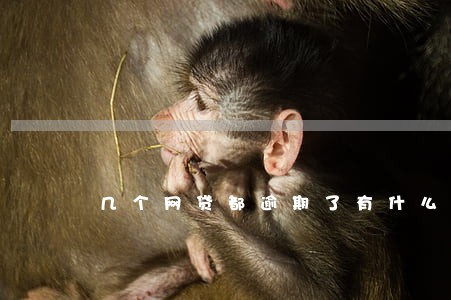 几个网贷都逾期了有什么后果吗 几个网贷都逾期了有什么后果吗