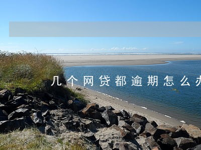 几个网贷都逾期怎么办 几个网贷都逾期怎么办