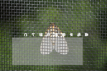 几个银行信用卡逾期 几个银行信用卡逾期