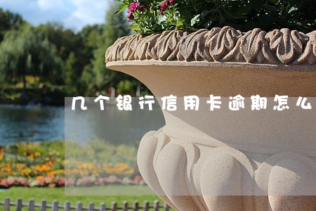 几个银行信用卡逾期怎么办