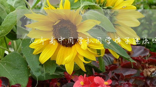几个高中同学扒同学裤子违法吗 几个高中同学扒同学裤子违法吗