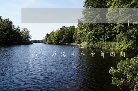 几十万信用卡全部逾期 几十万信用卡全部逾期