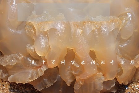 几十万网贷家信用卡逾期 几十万网贷家信用卡逾期
