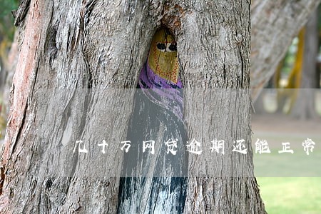 几十万网贷逾期还能正常工作吗 几十万网贷逾期还能正常工作吗