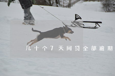 几十个7天网贷全部逾期 几十个7天网贷全部逾期