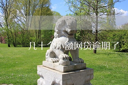 几十个小额网贷逾期了 几十个小额网贷逾期了