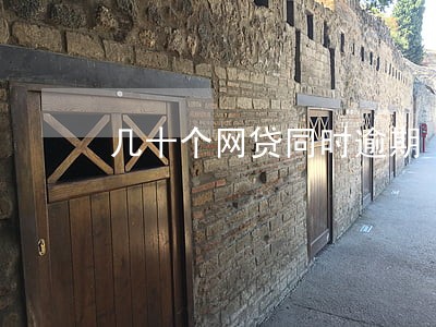几十个网贷同时逾期 几十个网贷同时逾期