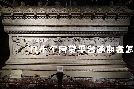 几十个网贷平台逾期会怎么样 几十个网贷平台逾期会怎么样