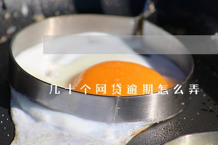 几十个网贷逾期怎么弄