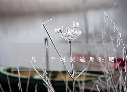 几十个网贷逾期贴吧 几十个网贷逾期贴吧