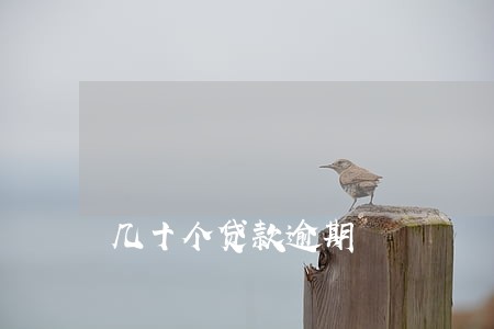 几十个贷款逾期 几十个贷款逾期