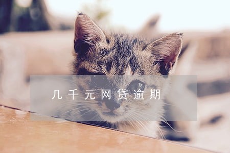 几千元网贷逾期 几千元网贷逾期