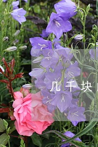 几千块的网贷逾期能立案吗 几千块的网贷逾期能立案吗