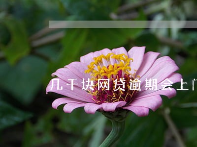 几千块网贷逾期会上门吗 几千块网贷逾期会上门吗