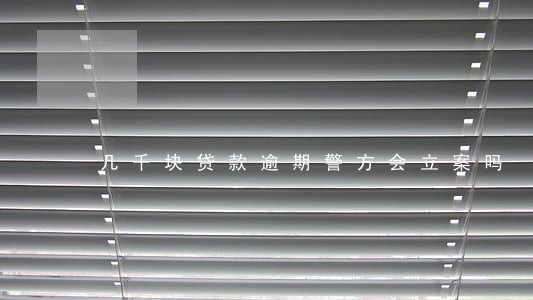 几千块贷款逾期警方会立案吗
