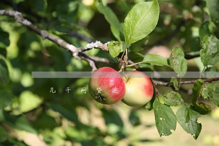 几千网贷逾期 几千网贷逾期