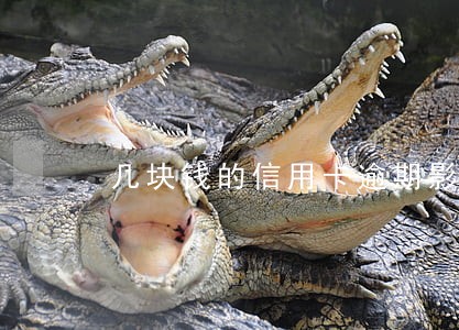 几块钱的信用卡逾期影响贷款吗