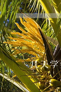 几天学会民法