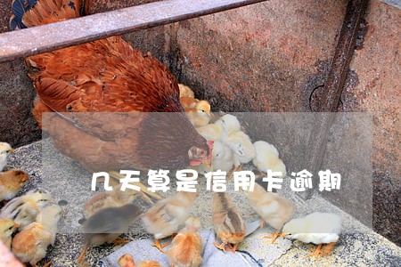 几天算是信用卡逾期 几天算是信用卡逾期