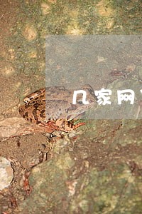 几家网贷同时逾期先还哪个 几家网贷同时逾期先还哪个