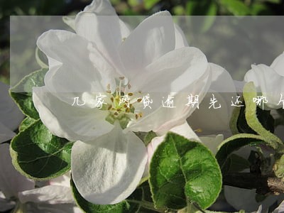 几家网贷逾期先还哪个 几家网贷逾期先还哪个