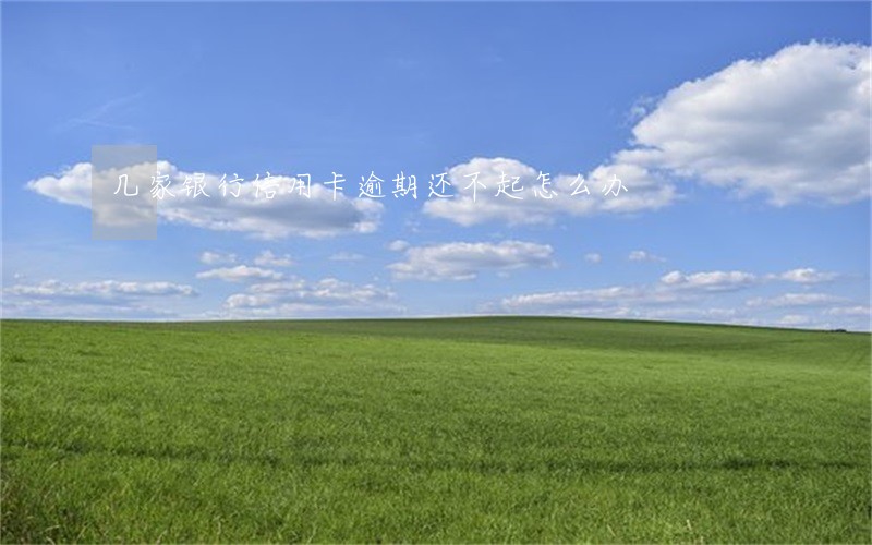 几家银行信用卡逾期还不起怎么办 几家银行信用卡逾期还不起怎么办