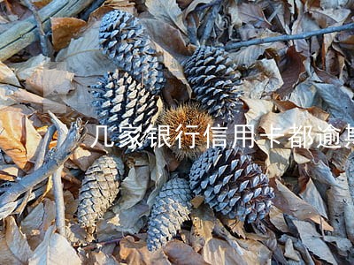 几家银行信用卡都逾期 几家银行信用卡都逾期
