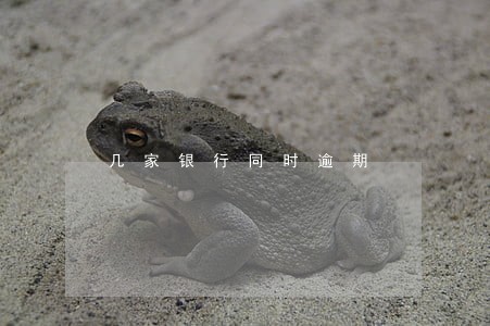 几家银行同时逾期 几家银行同时逾期