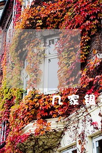 几家银行贷款逾期 几家银行贷款逾期