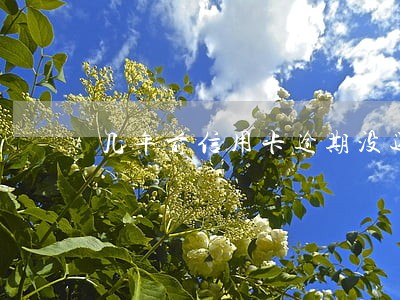 几年前信用卡逾期没还 几年前信用卡逾期没还